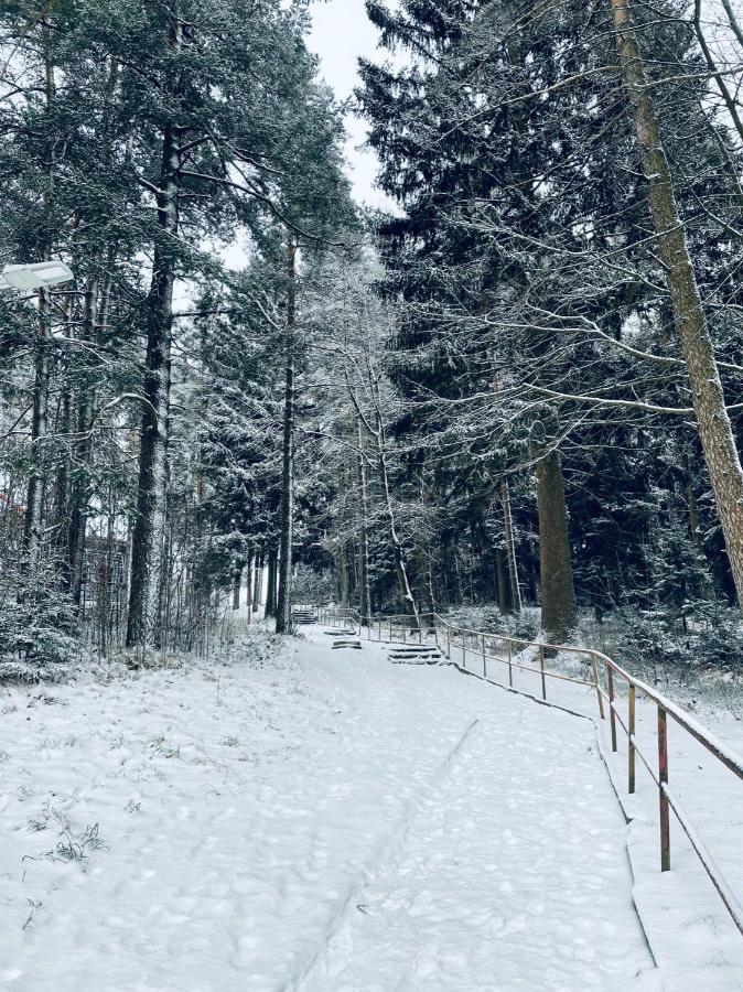 Apartman Galerie - Lipno Nad Vltavou Extérieur photo